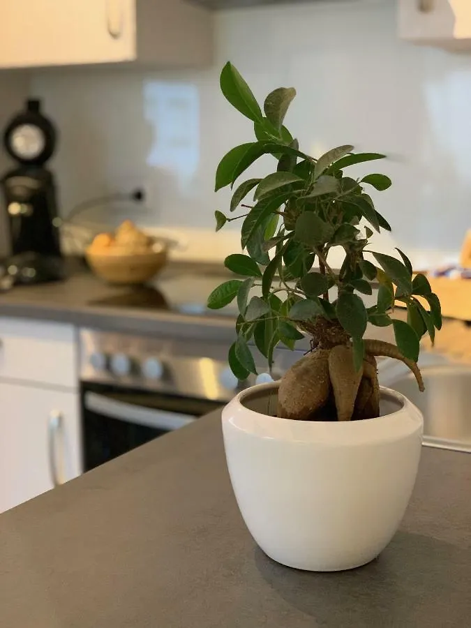 Apartment Koeln Ensen ألمانيا